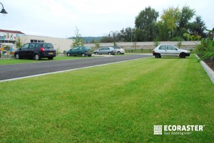Ecoraster grastegel